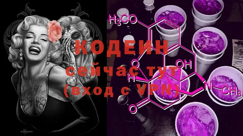 Кодеиновый сироп Lean Purple Drank Партизанск